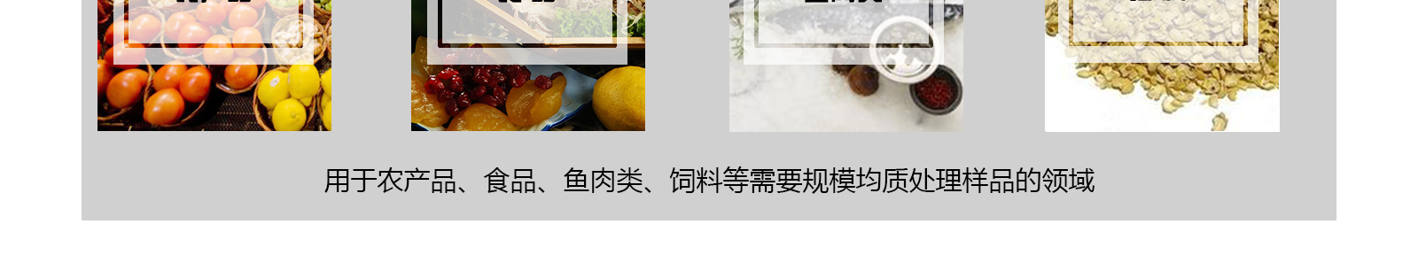 同泰无菌均质器